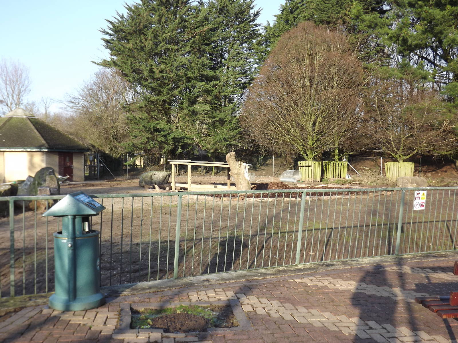 Giant anteater development at Blackpool Zoo 15/01/12