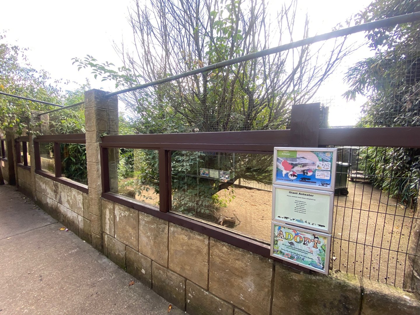 Giant anteater enclosure 140923