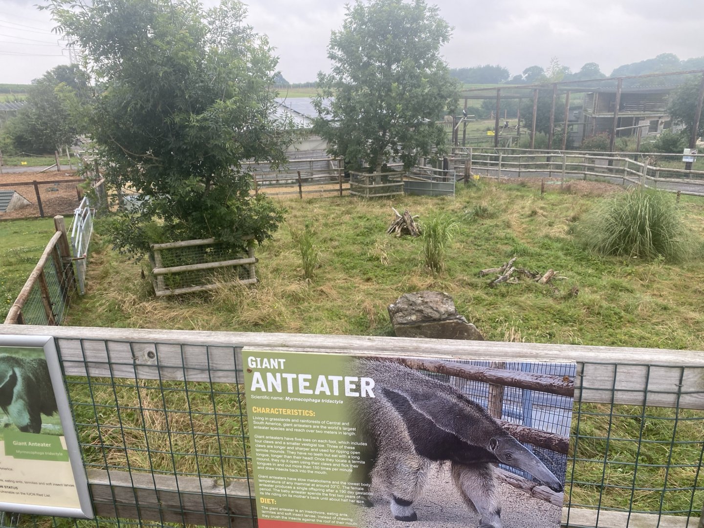 Giant anteater enclosure 240721