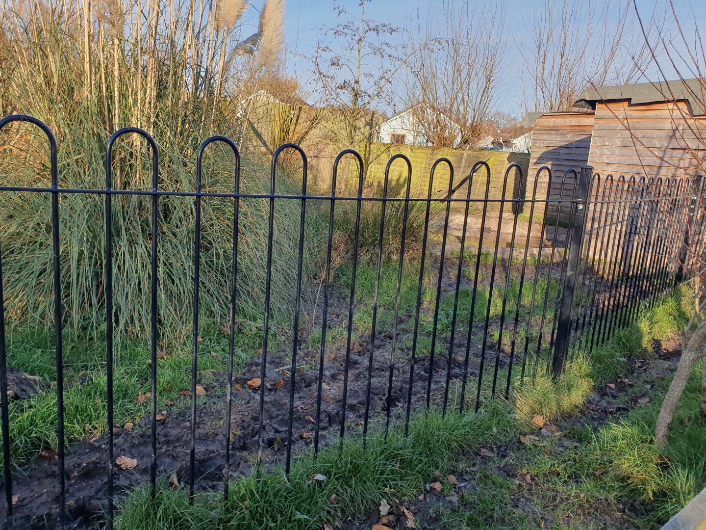 Giant Anteater enclosure 25/11/23