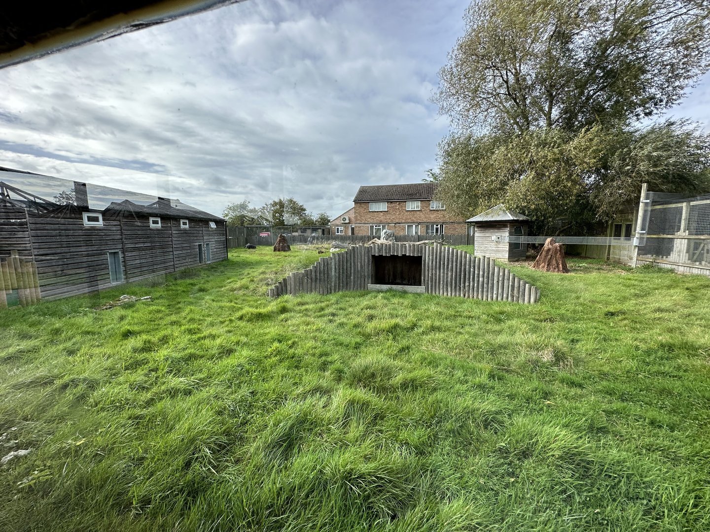 Giant Anteater Enclosure at Hamerton Zoo Park (October 2023)