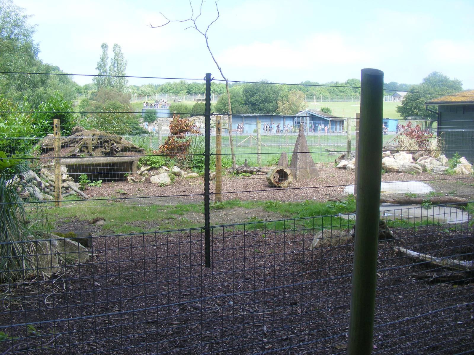 Giant anteater enclosure divided into two halves at Marwell Wildlife, 26 Ju