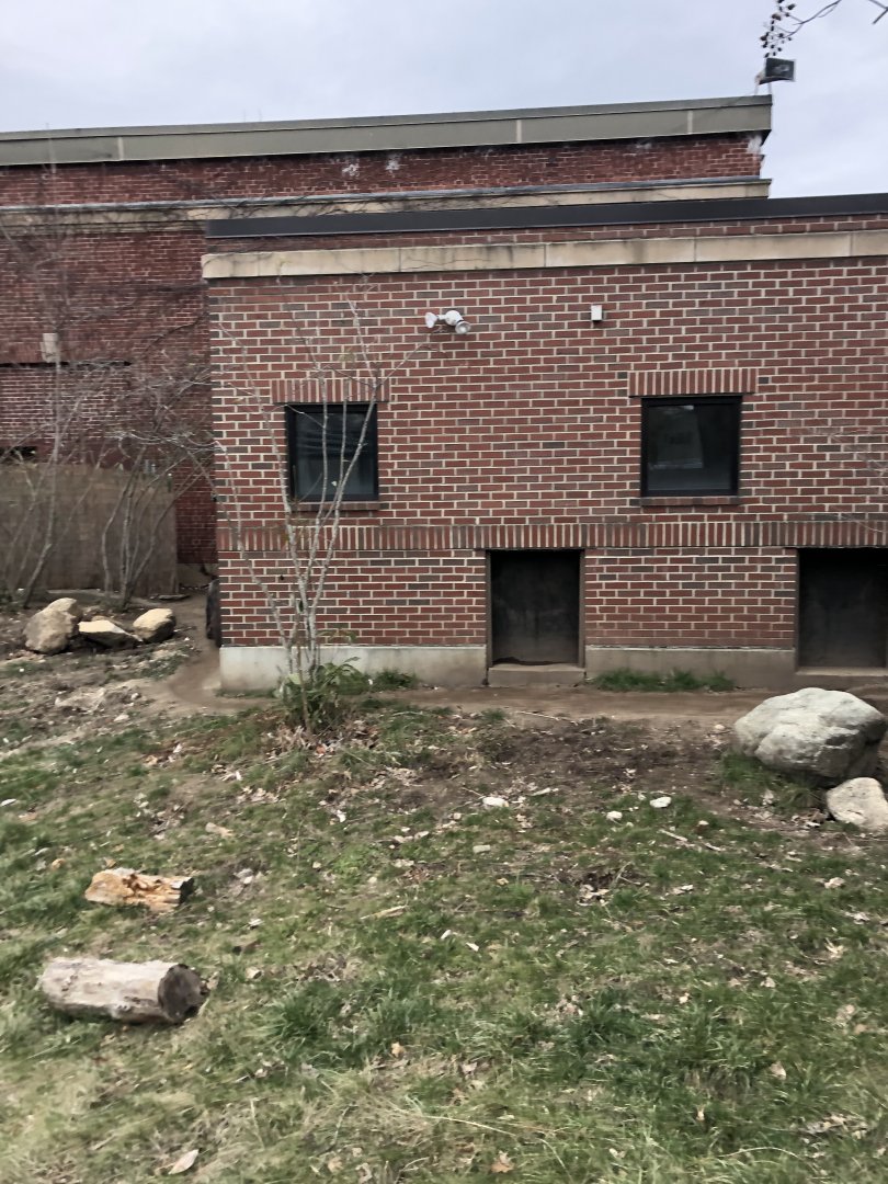 Giant Anteater Enclosure - Feb, 2020