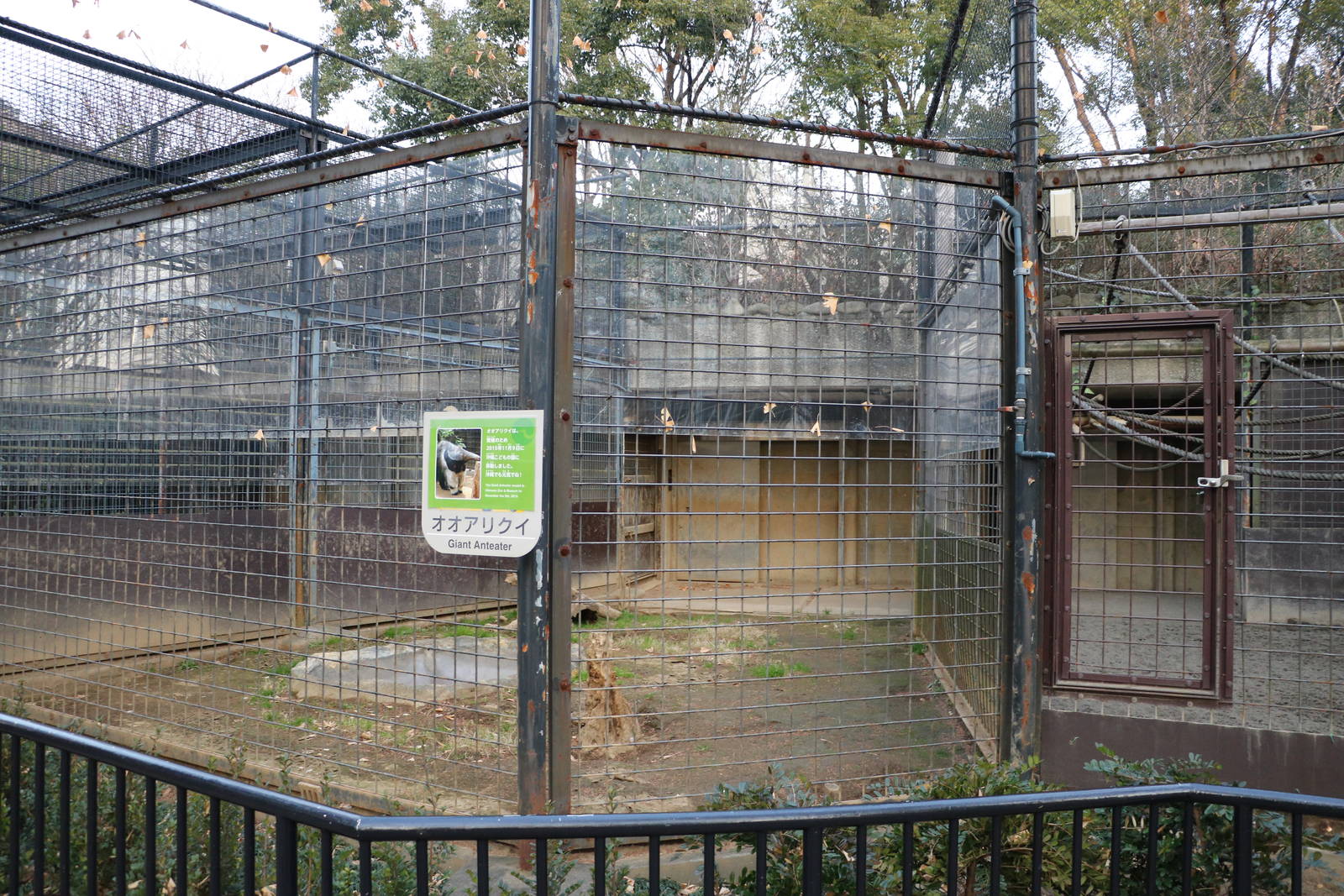 Giant anteater enclosure, February 2016