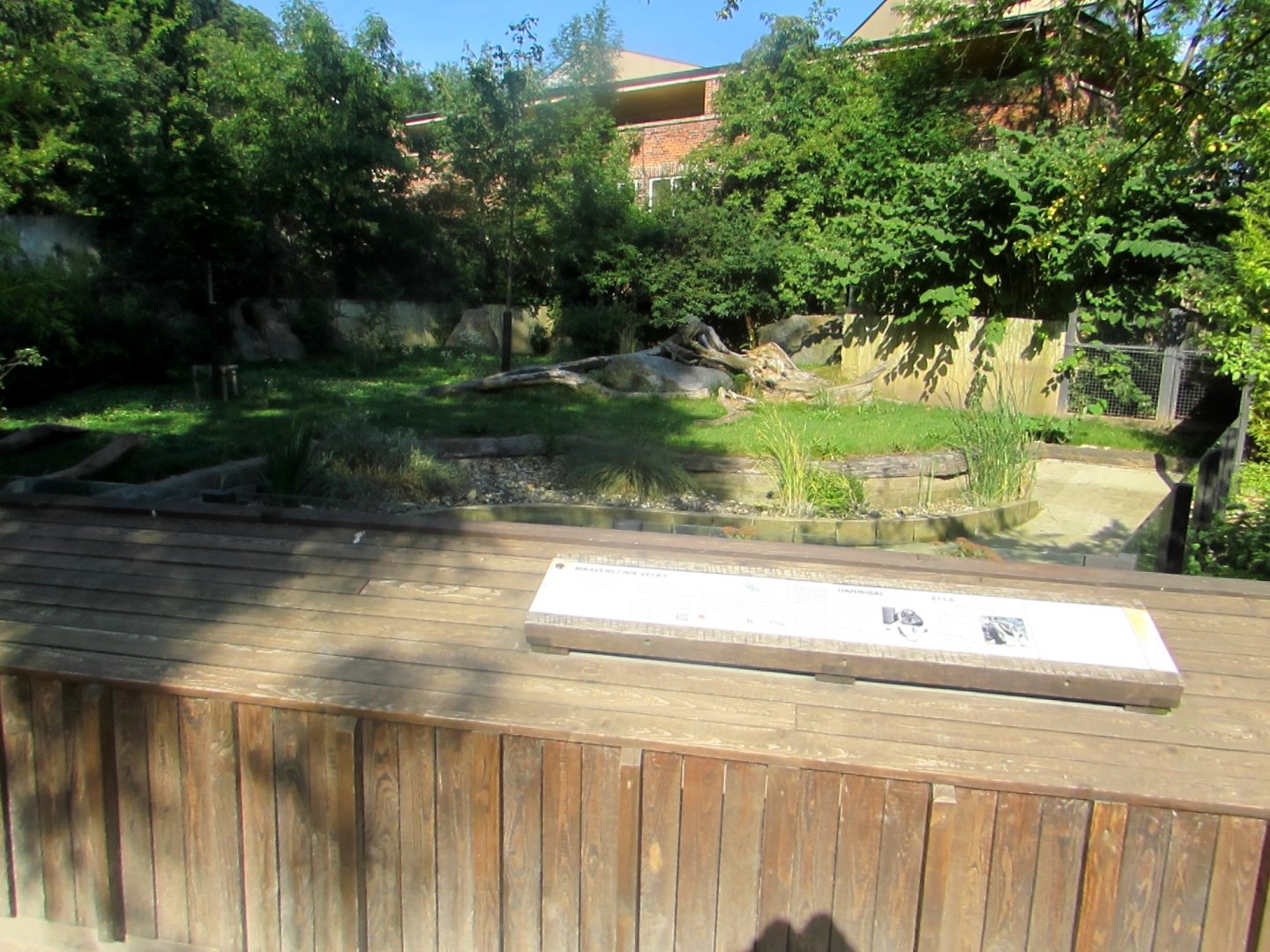 Giant Anteater enclosure - July/2017