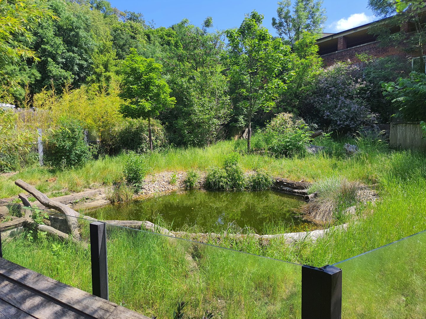 Giant anteater enclosure- Prague Zoo Praha