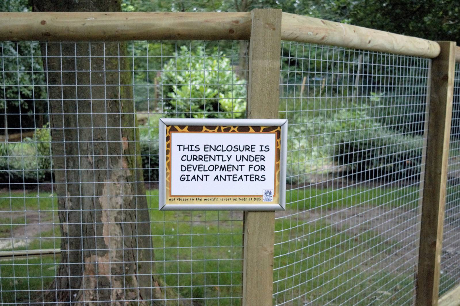 Giant anteater enclosure under construction