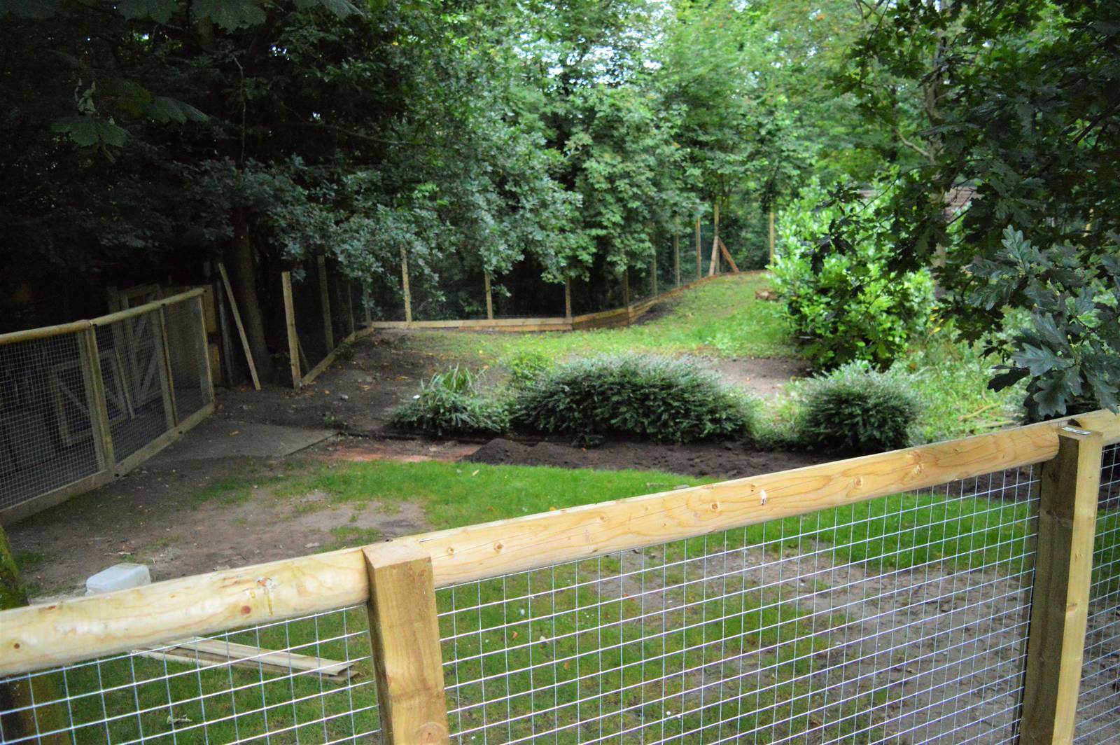 Giant anteater enclosure under construction