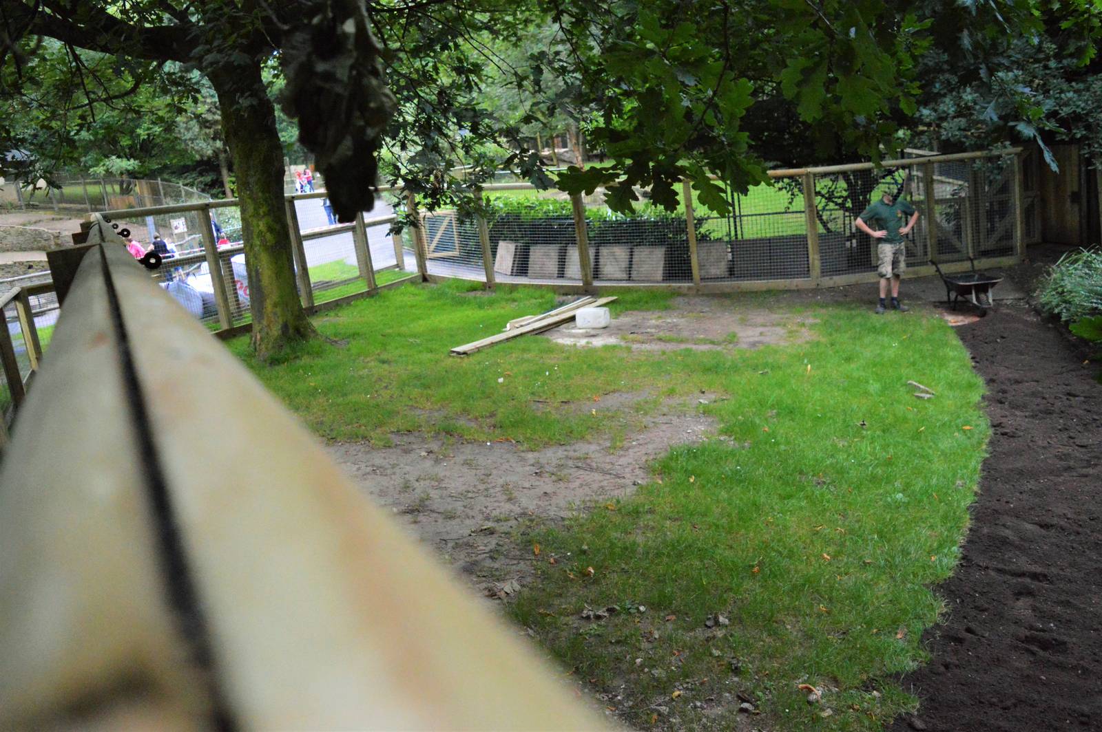 Giant anteater enclosure under construction