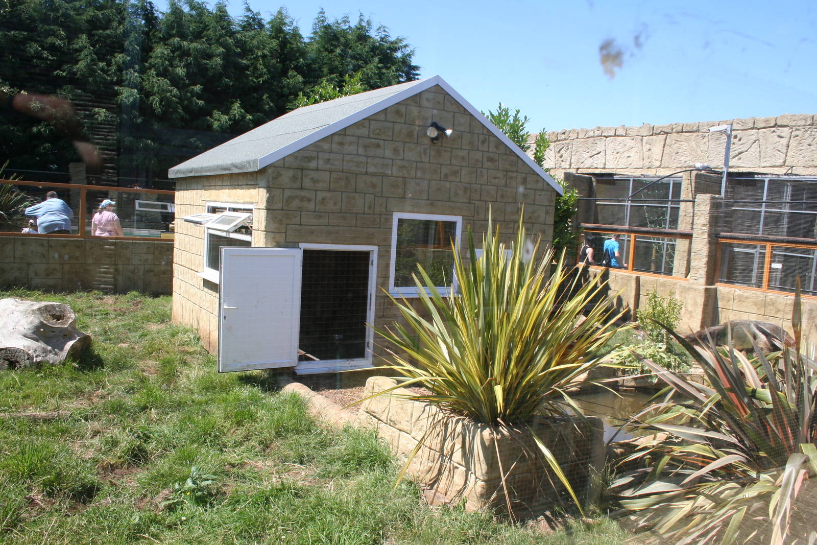 Giant anteater enclosure