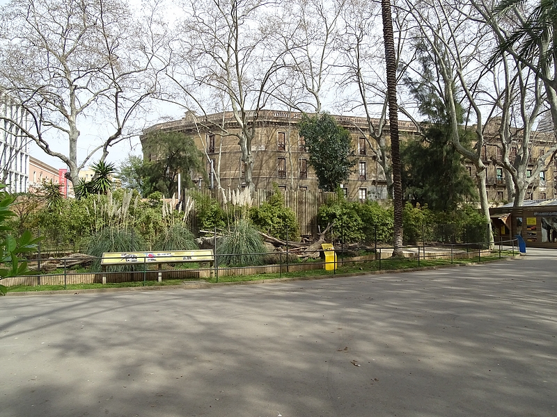Giant anteater enclosure