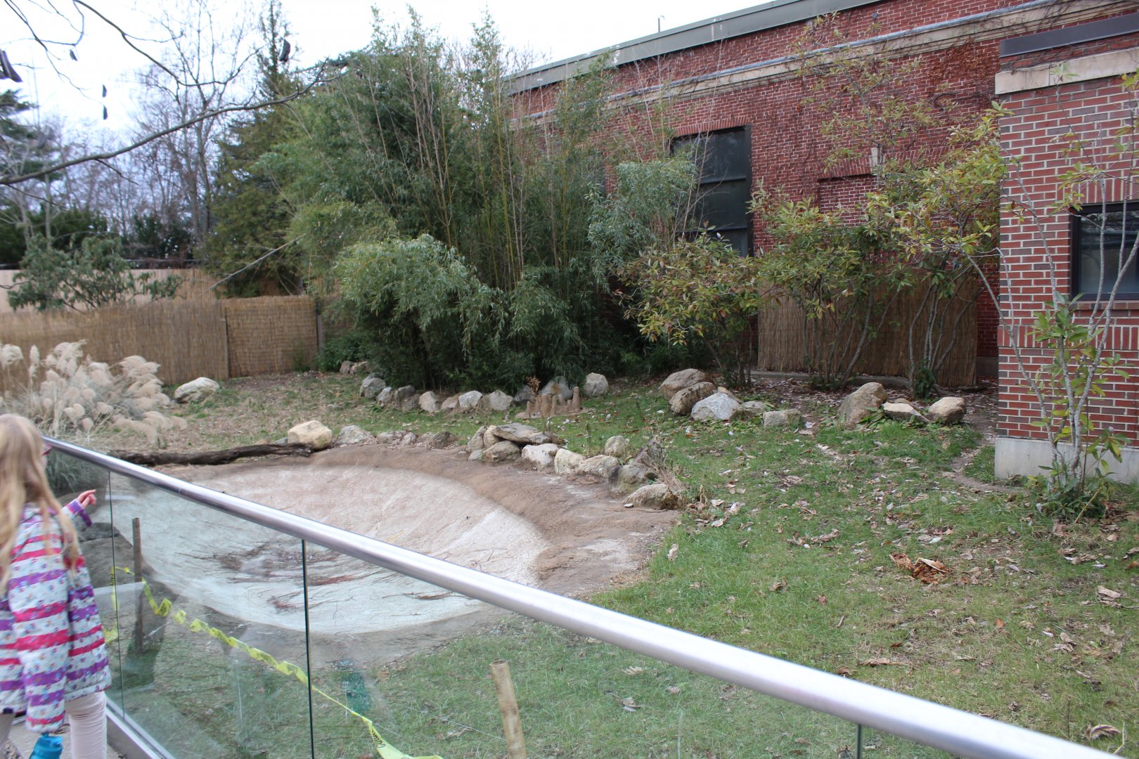 Giant Anteater Enclosure