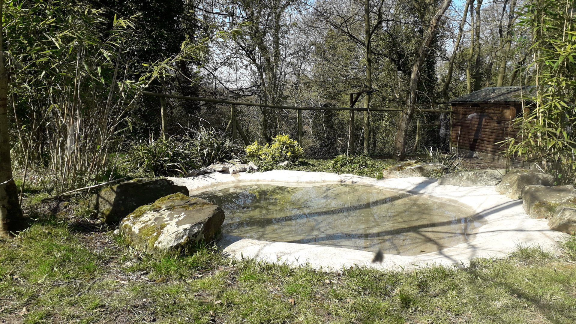 Giant Anteater Enclosure