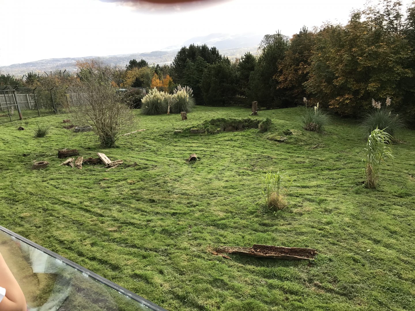 Giant anteater enclosure