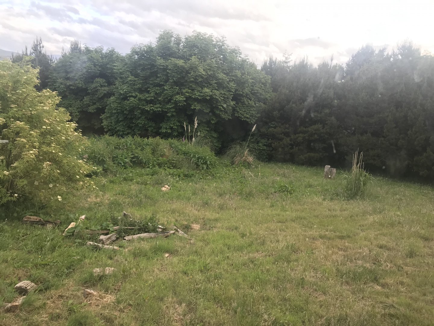 Giant anteater enclosure