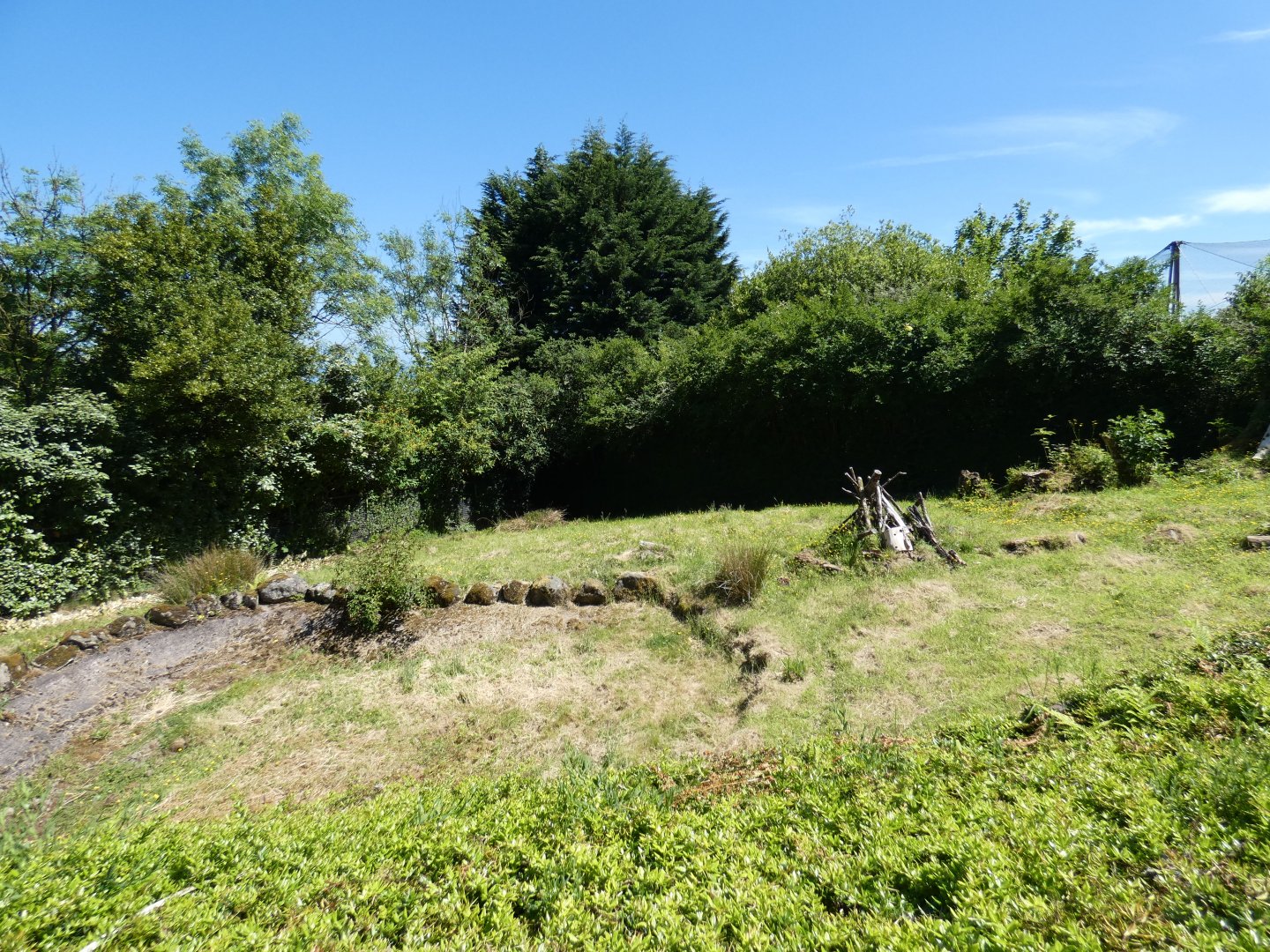 Giant anteater enclosure