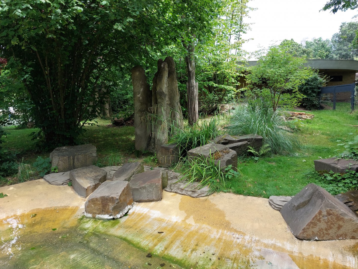 Giant anteater enclosure