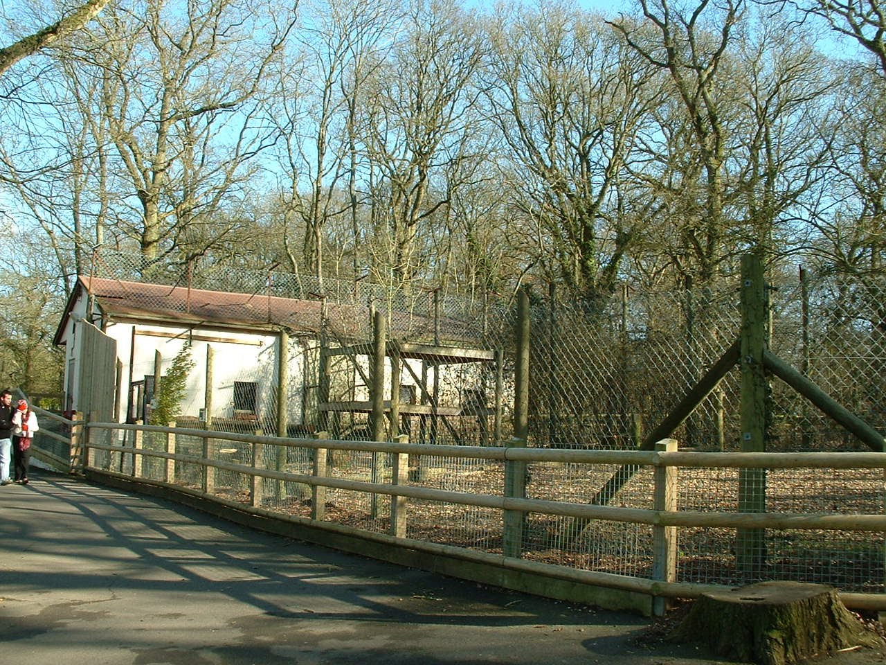 Giant Anteater Enclosure
