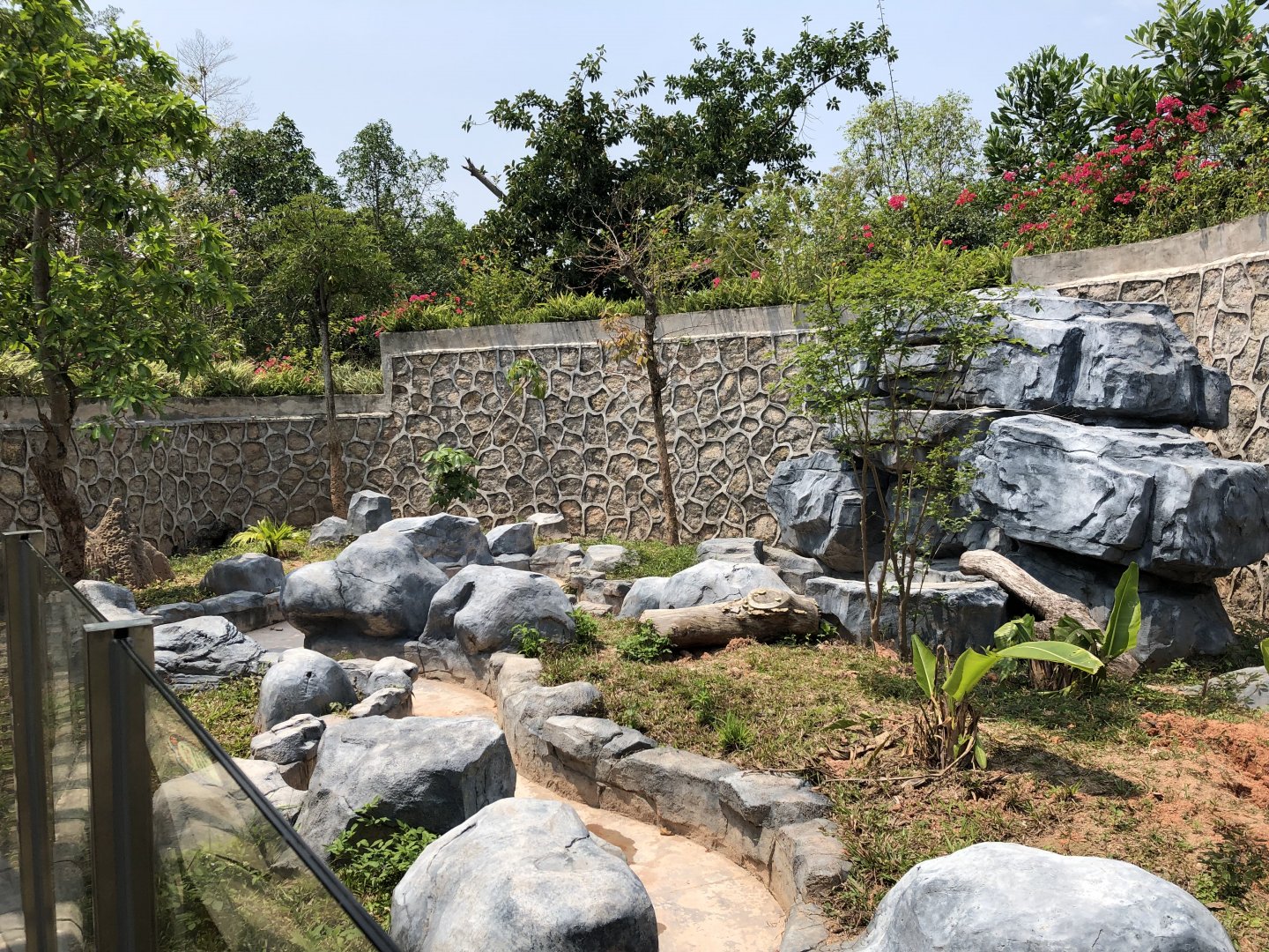 Giant Anteater Exhibit #1