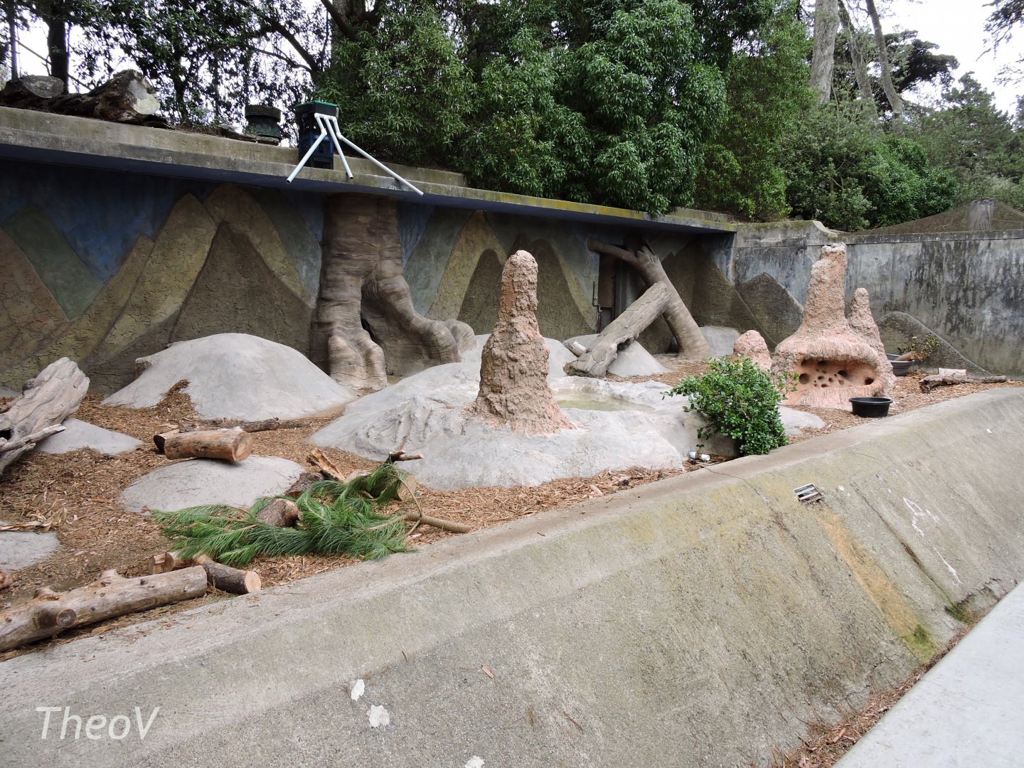 Giant anteater exhibit [2015]