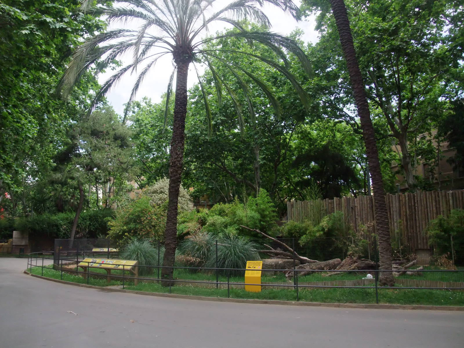 Giant Anteater Exhibit at Barcelona, 30/05/11