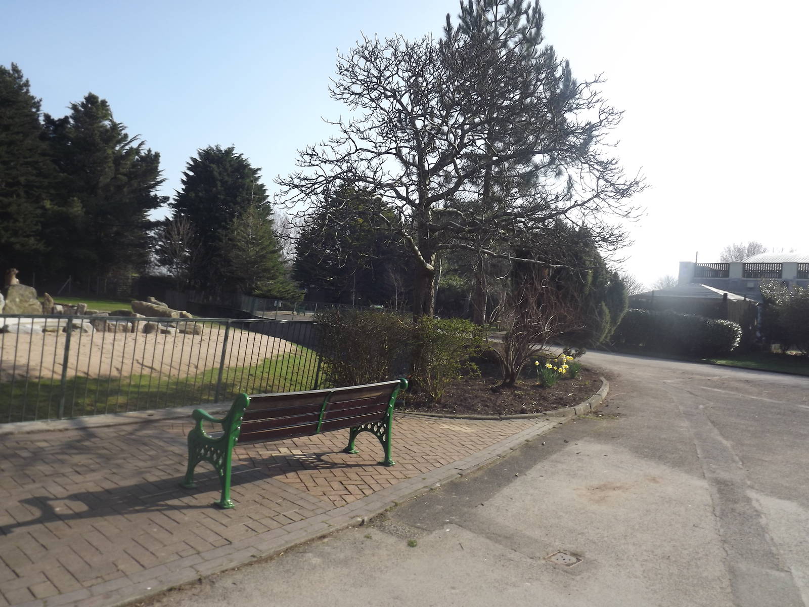 Giant Anteater exhibit at Blackpool Zoo 25/03/12