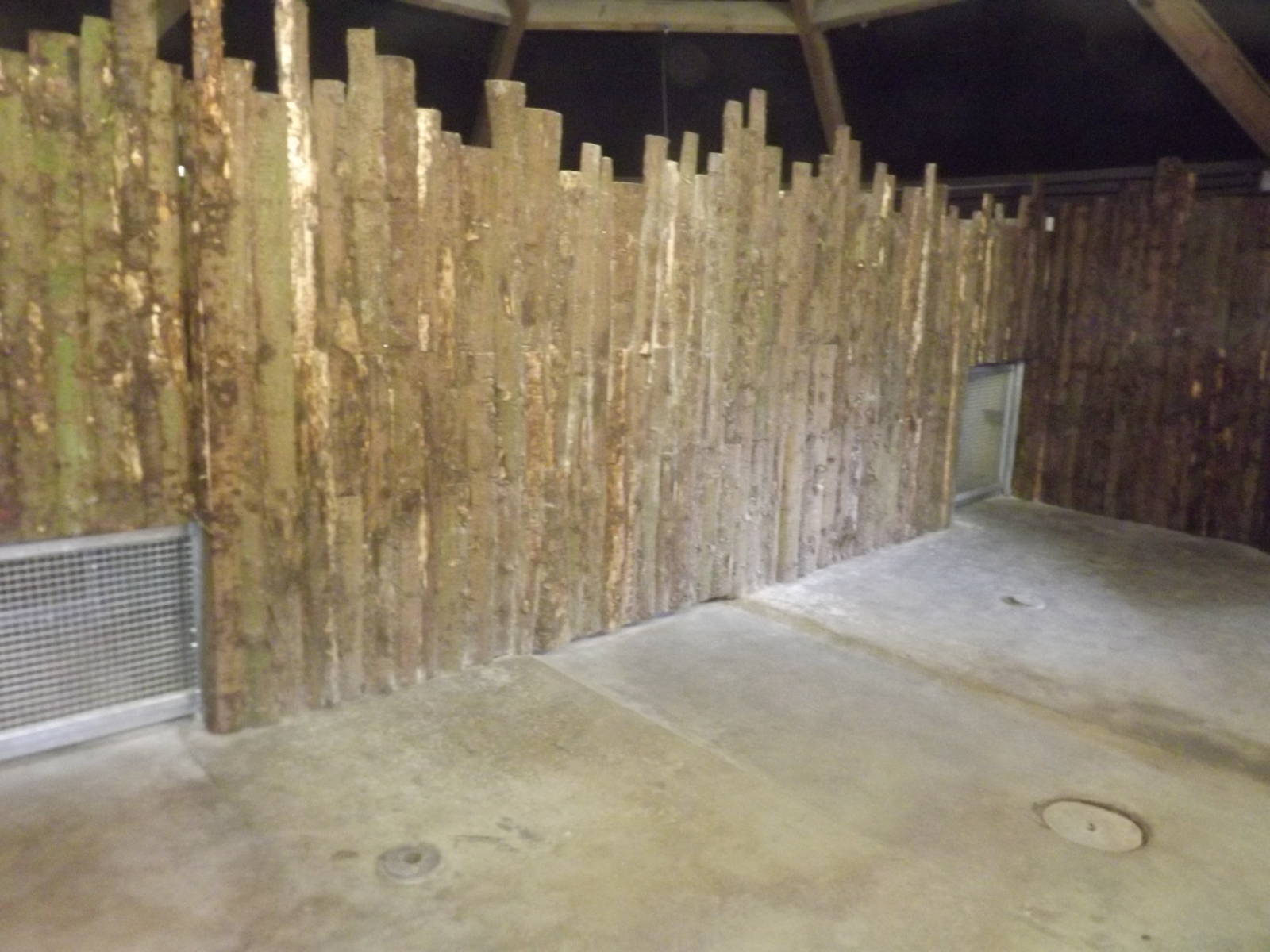 Giant anteater exhibit at Blackpool Zoo 26/02/12