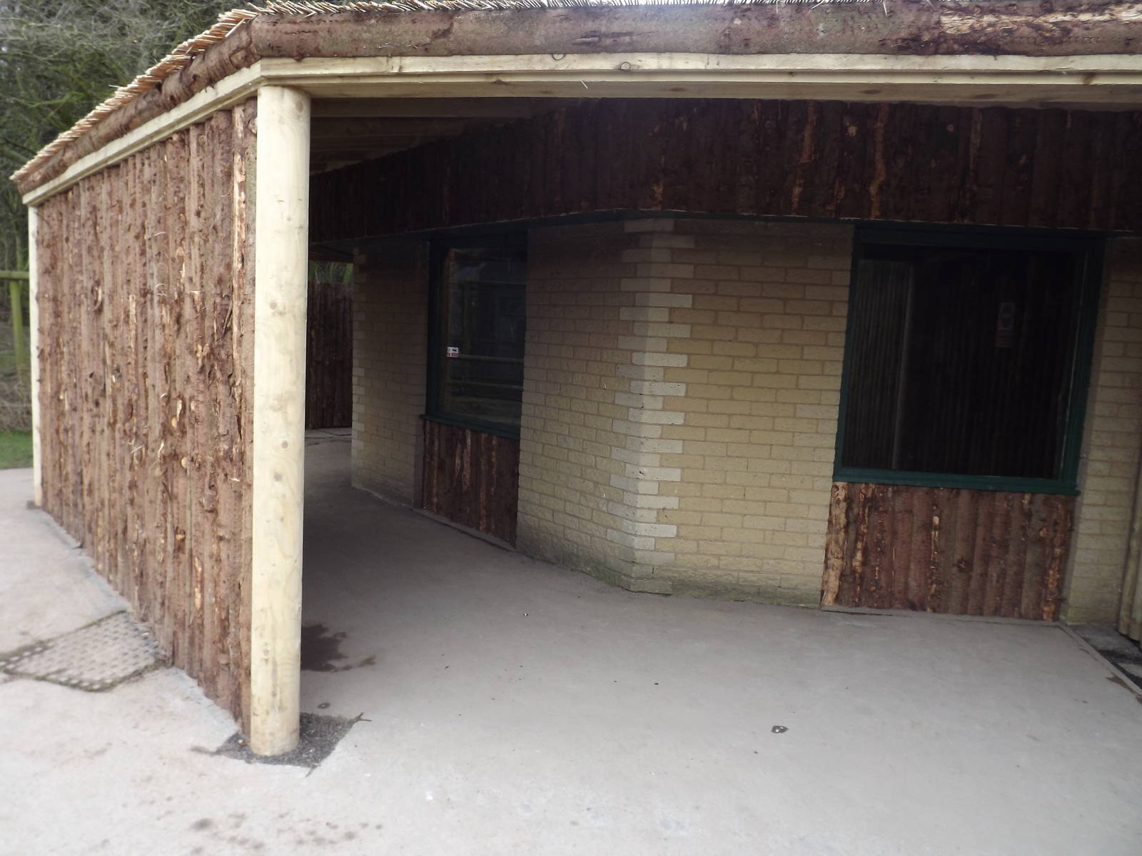 Giant anteater exhibit at Blackpool Zoo 26/02/12