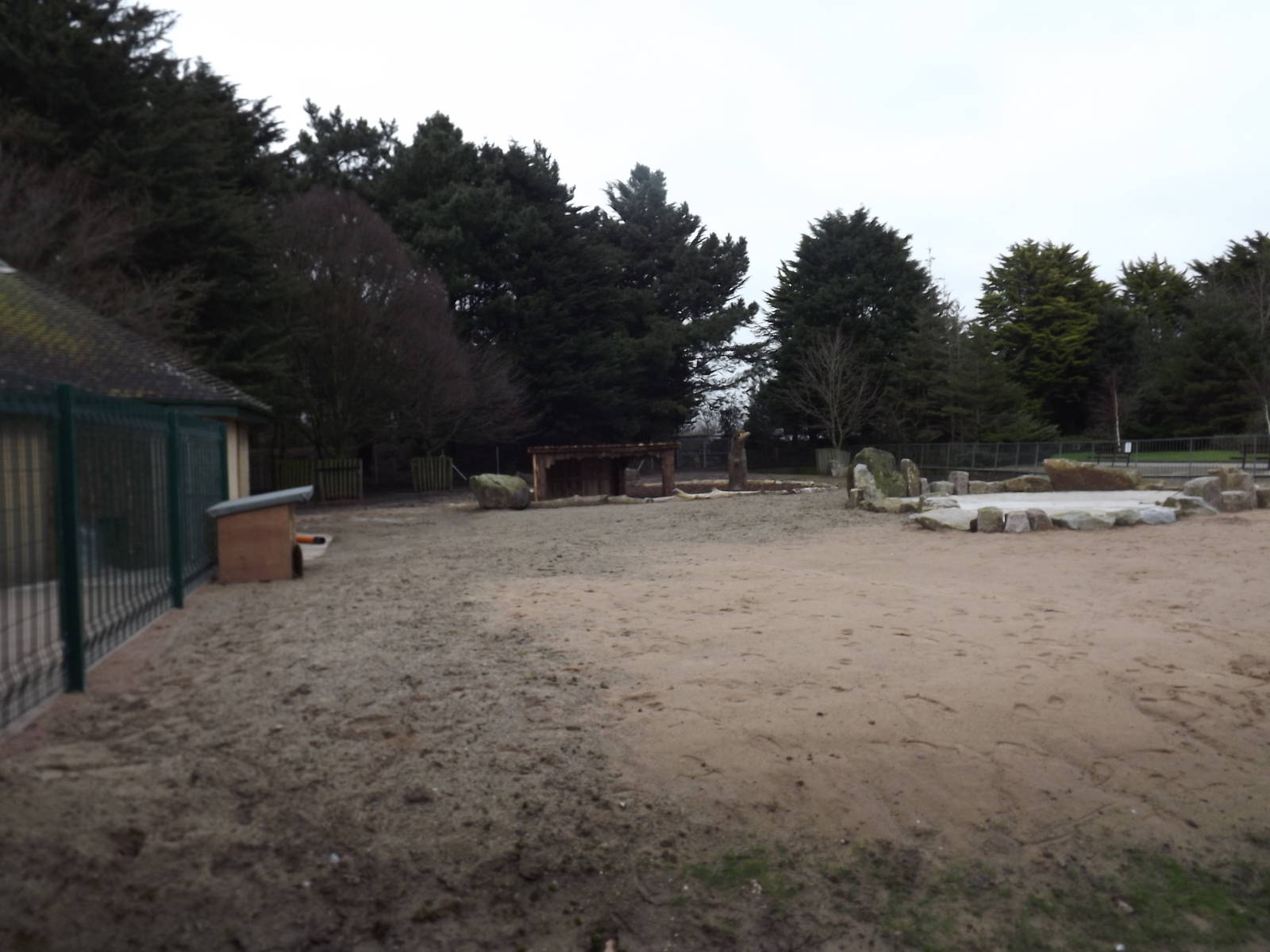 Giant anteater exhibit at Blackpool Zoo 26/02/12