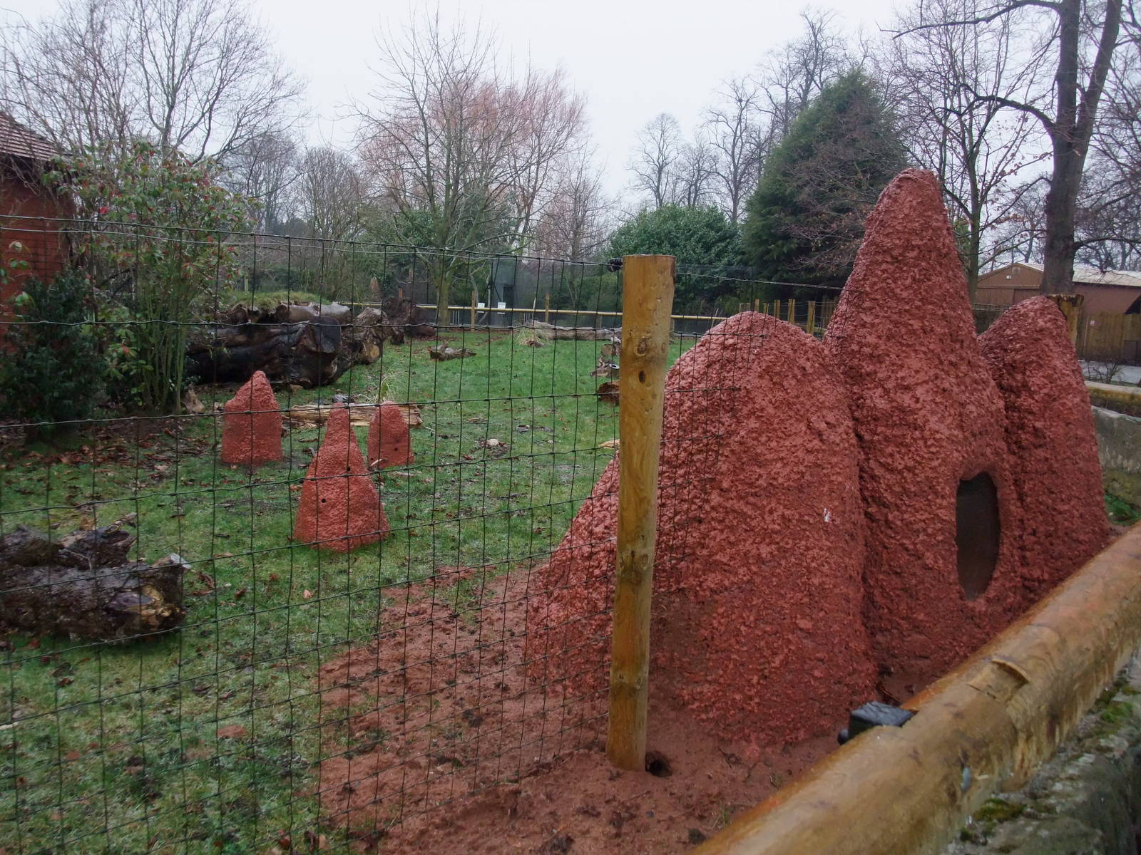 Giant Anteater Exhibit at Chester, 04/02/12
