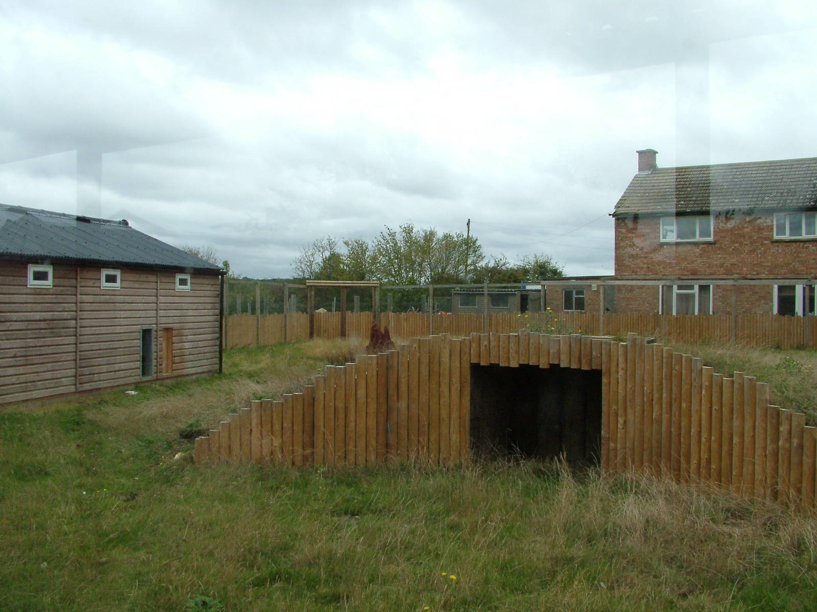 Giant Anteater Exhibit at Hamerton, 08/10/11