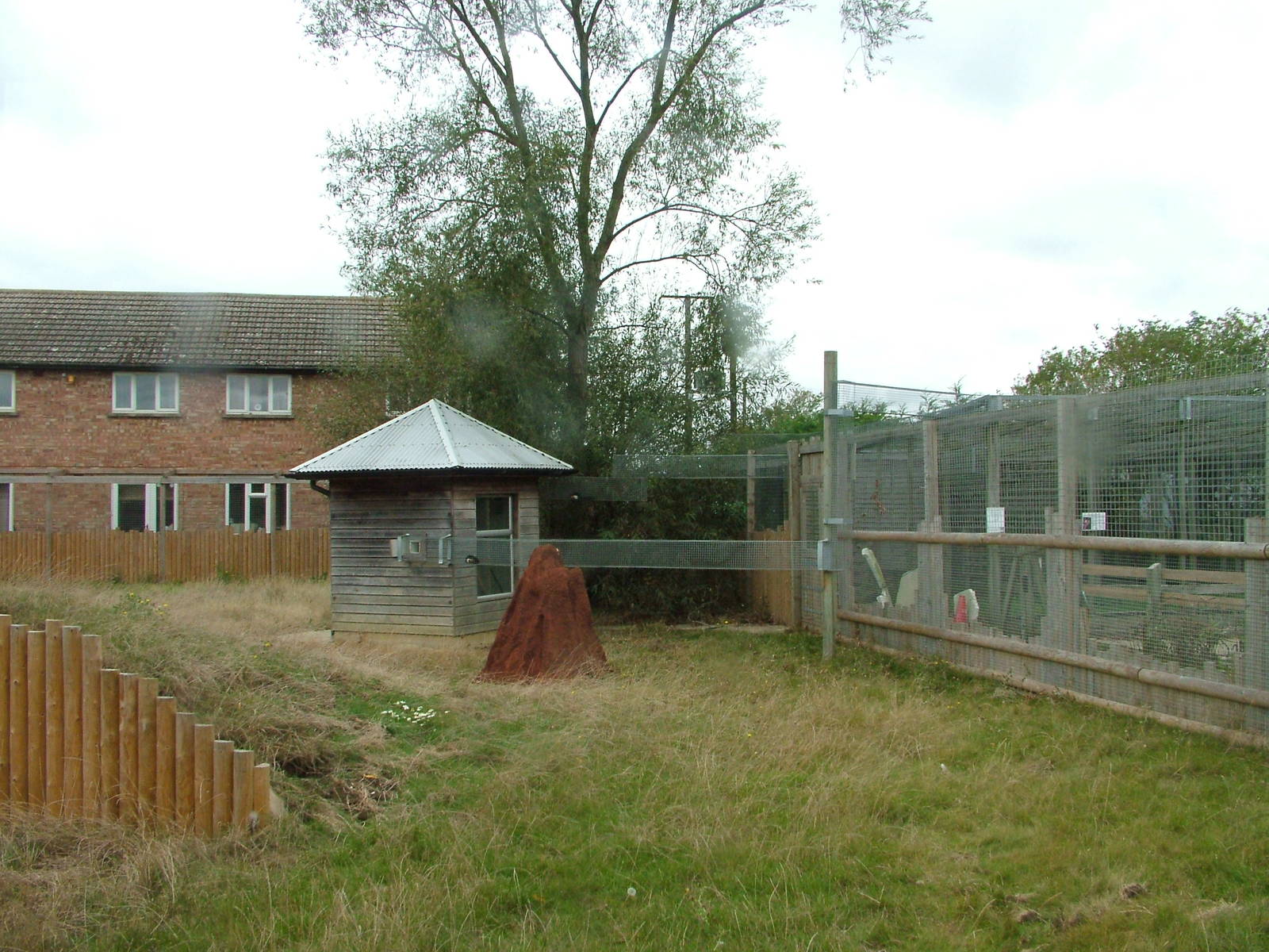Giant Anteater Exhibit at Hamerton, 08/10/11