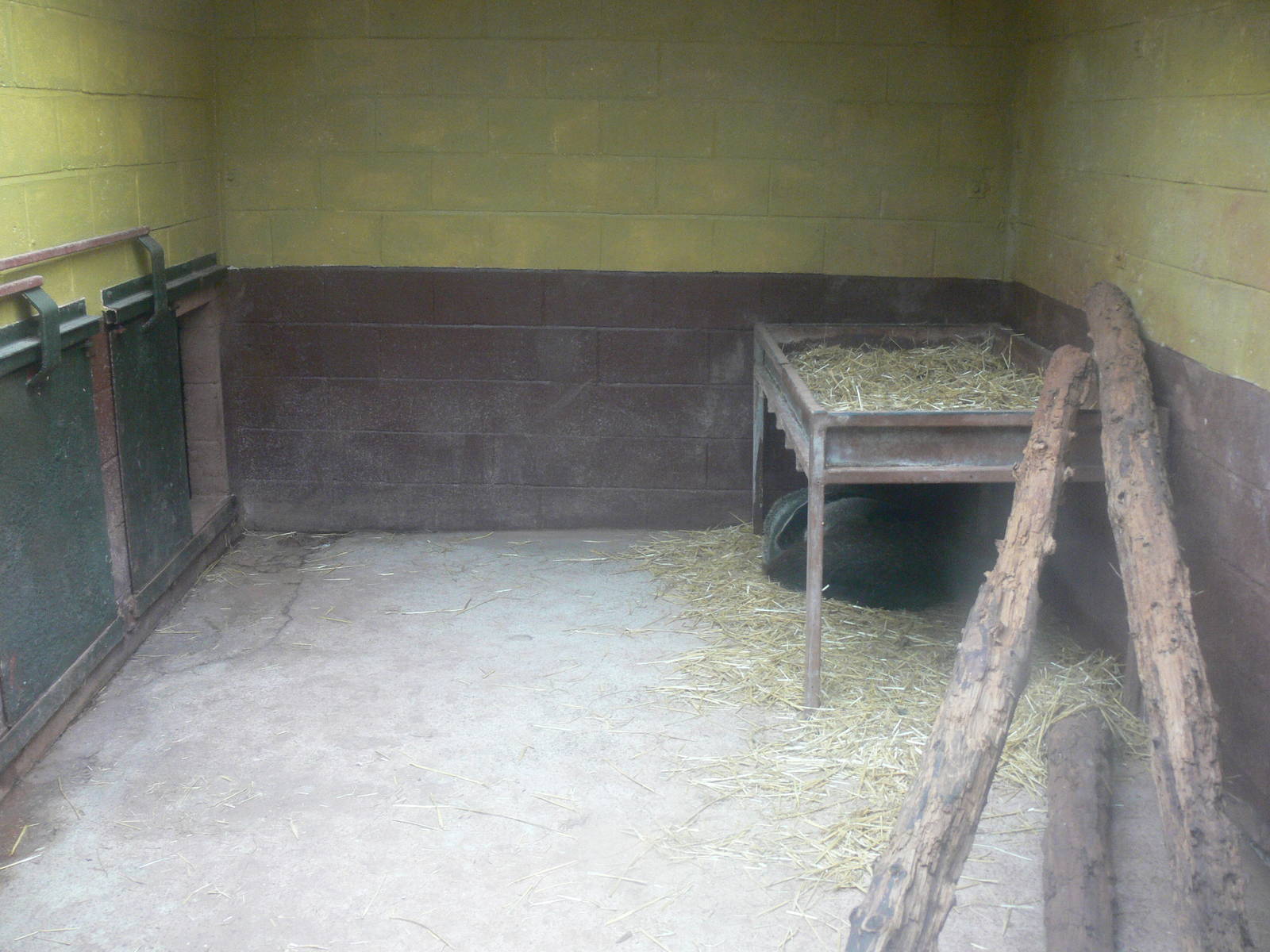 Giant Anteater Exhibit at South Lakes, 04/07/14