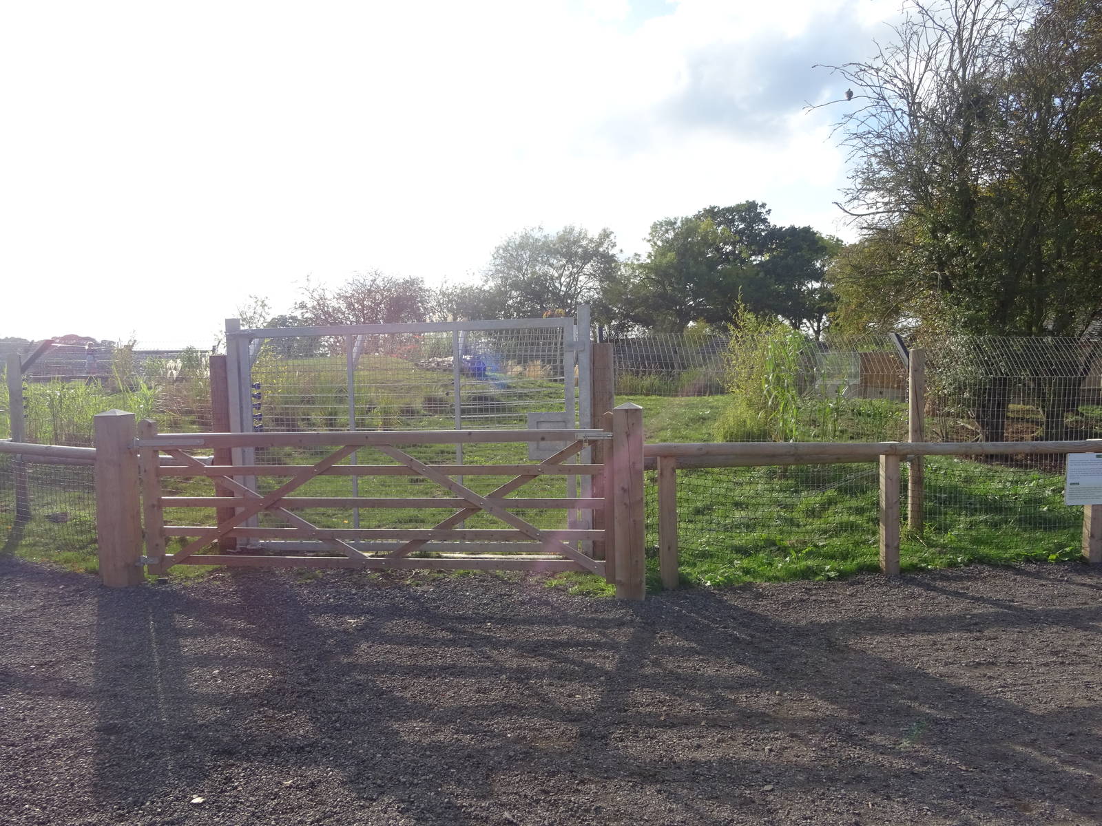 Giant Anteater Exhibit at Yorkshire Wildlife Park