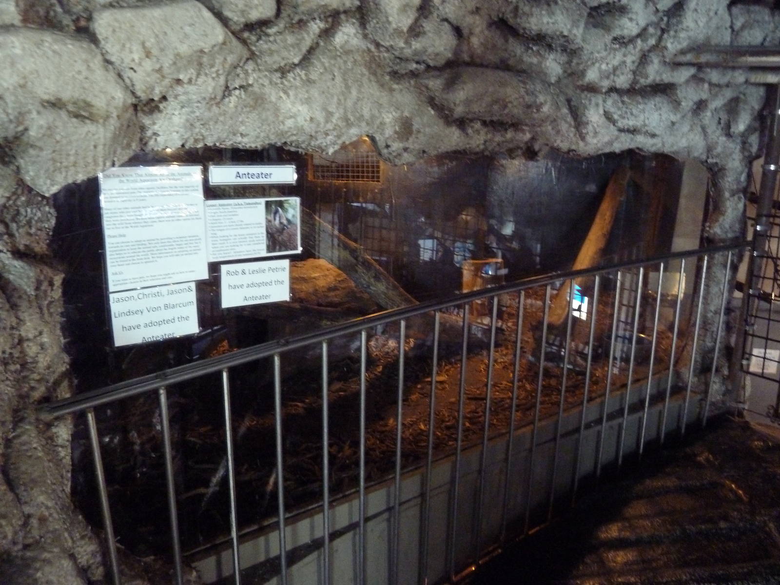 Giant Anteater Exhibit (blurry photo)