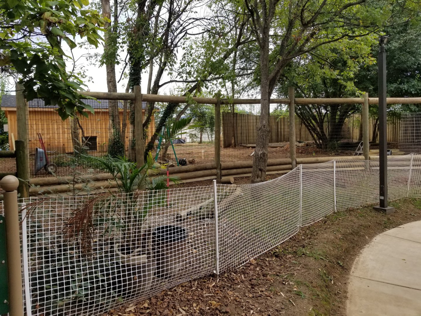 Giant Anteater Exhibit Construction