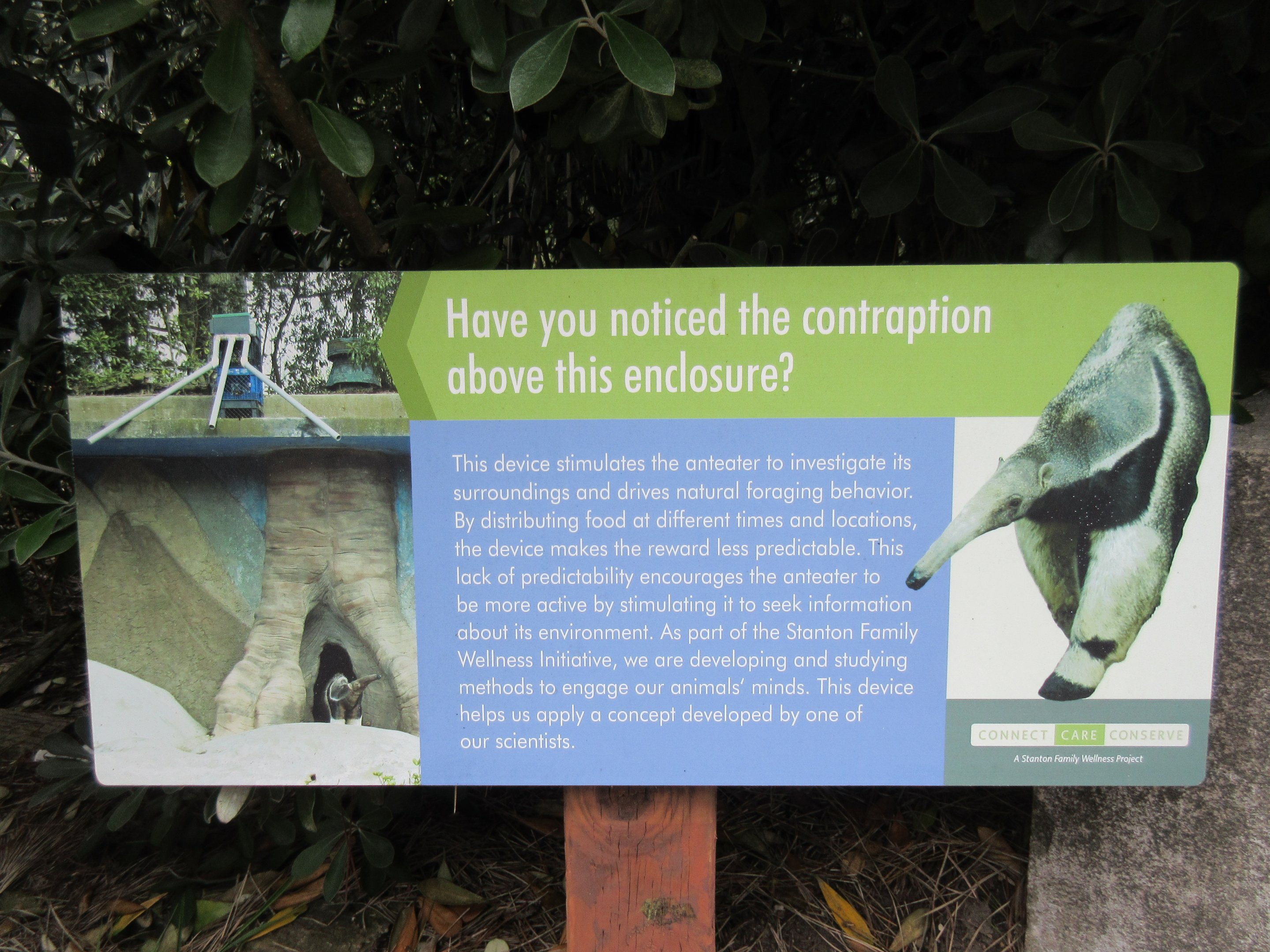 Giant Anteater Exhibit - innovative idea explained on sign