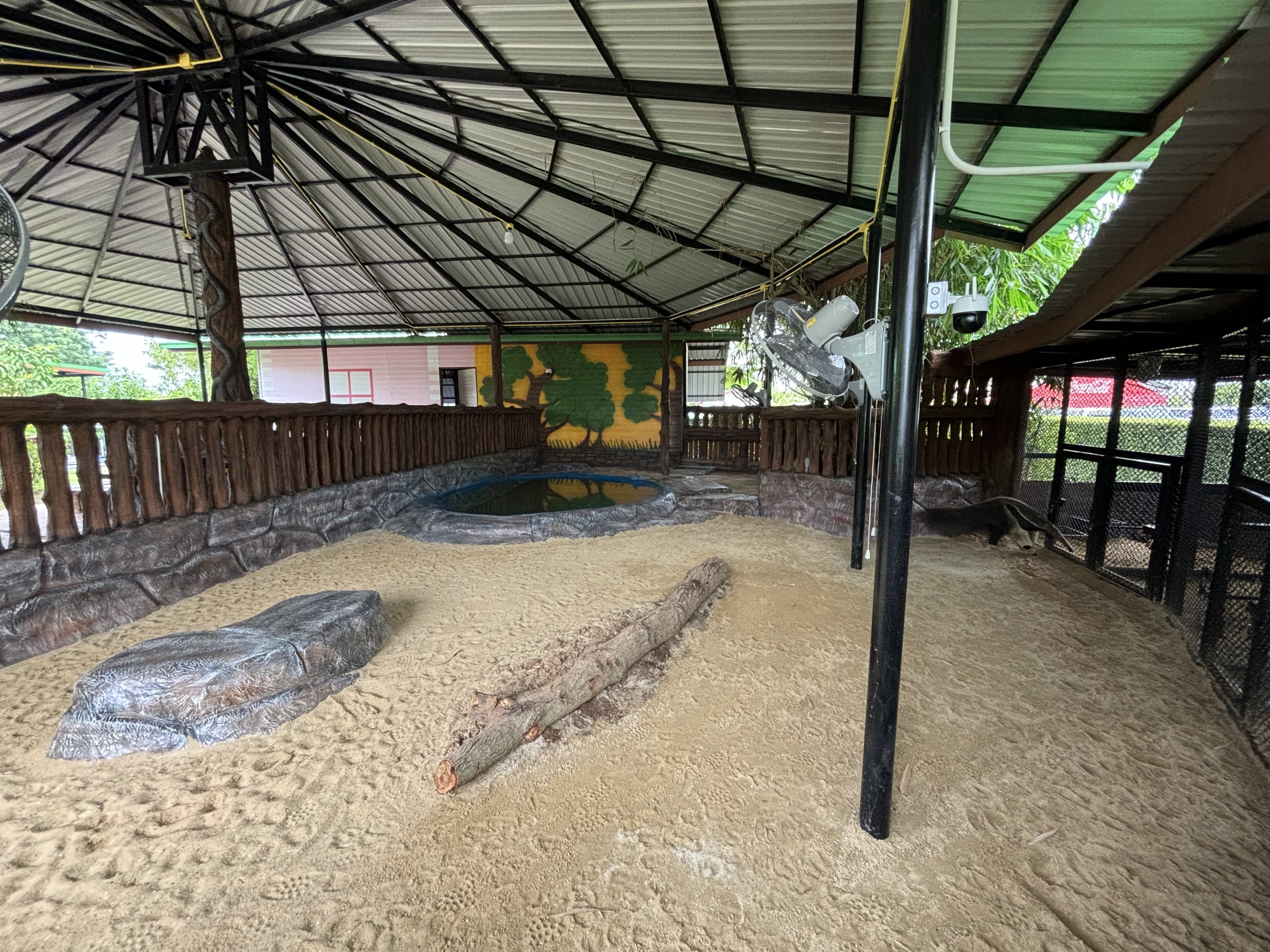 Giant Anteater Exhibit - Lion Park