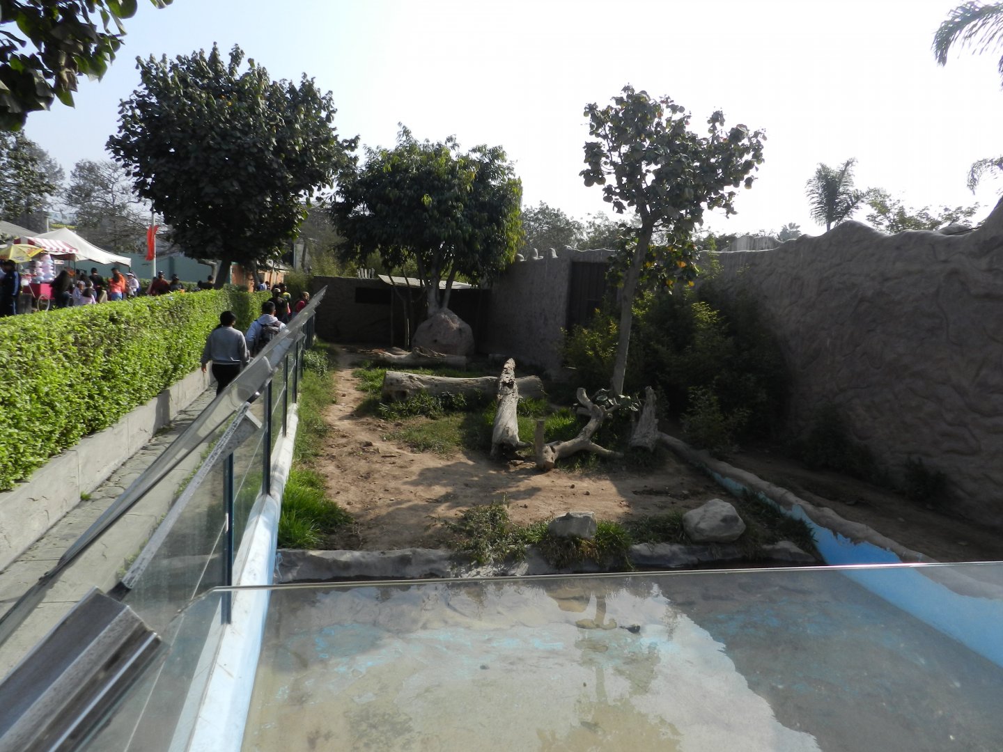 Giant anteater exhibit - Parque Zoológico Huachipa