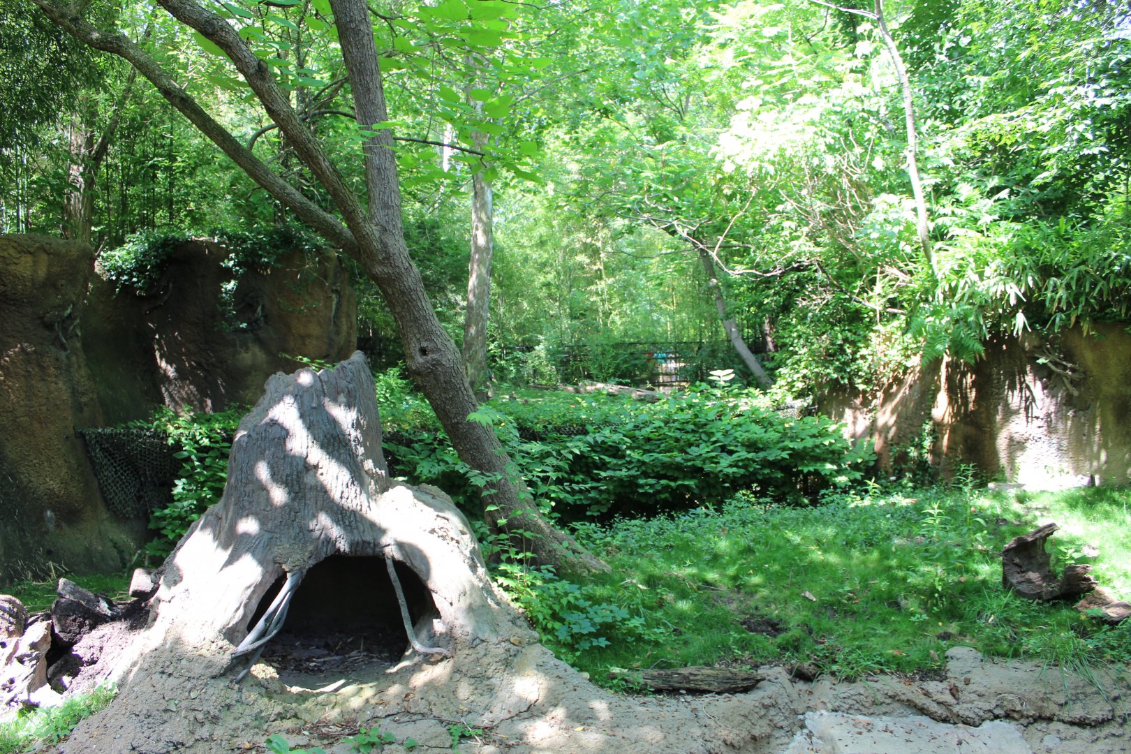 Giant Anteater Exhibit - Rivers Edge