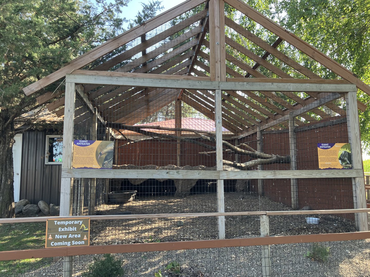 Giant Anteater Exhibit (Temporary)