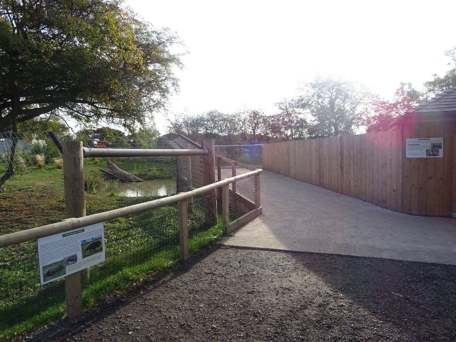 Giant Anteater Exhibit Viewing Area at Yorkshire Wildlife Park