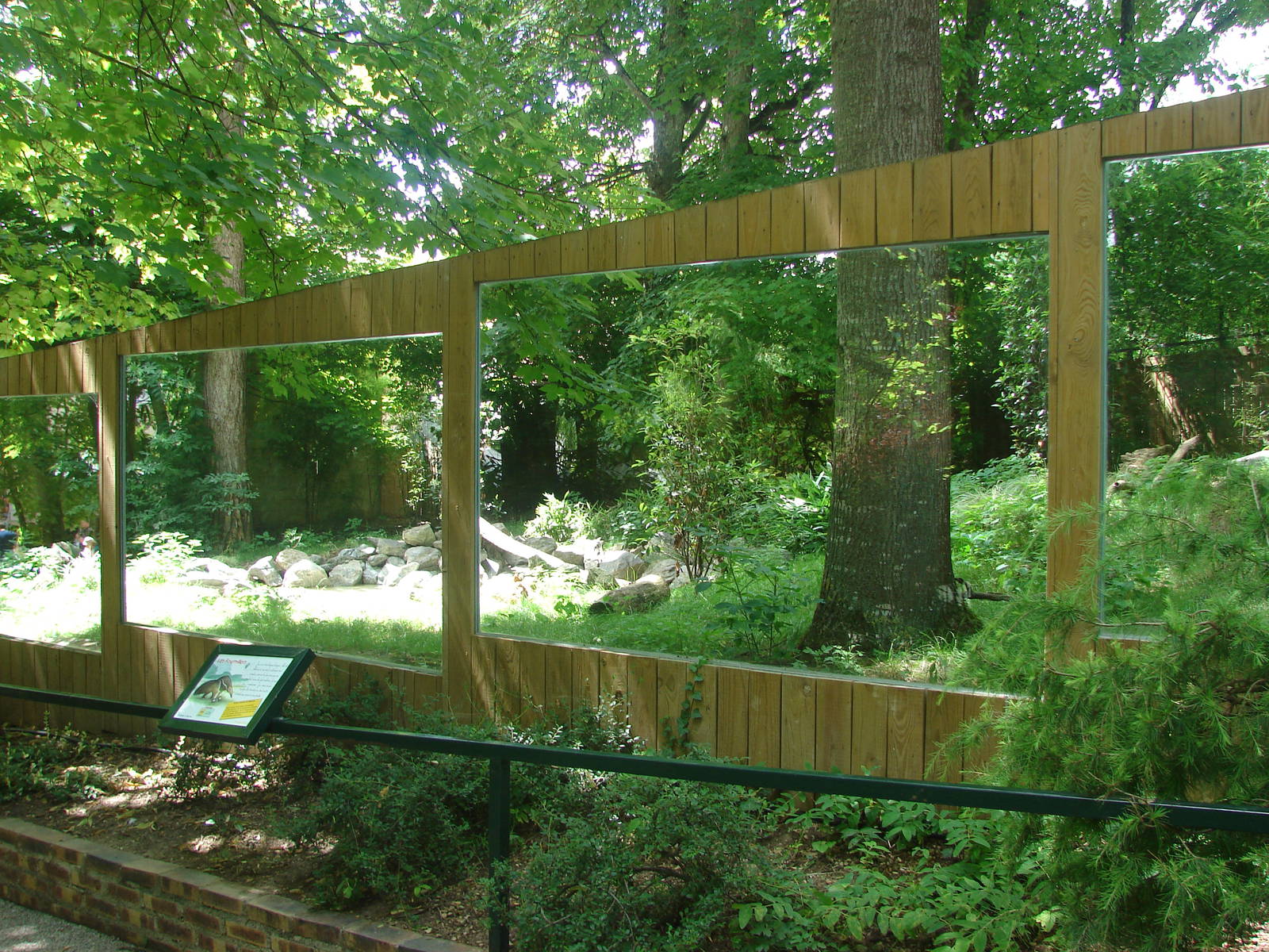 Giant anteater exhibit
