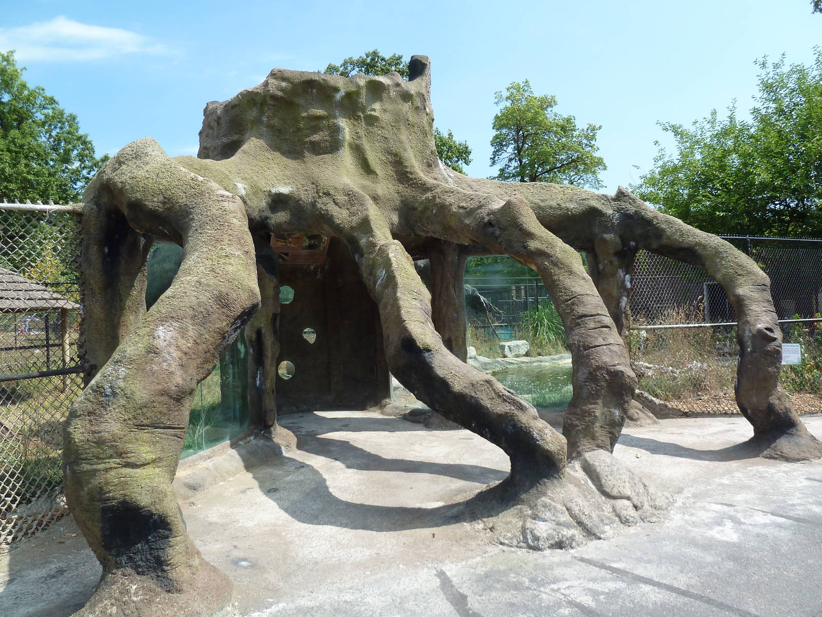 Giant Anteater Exhibit