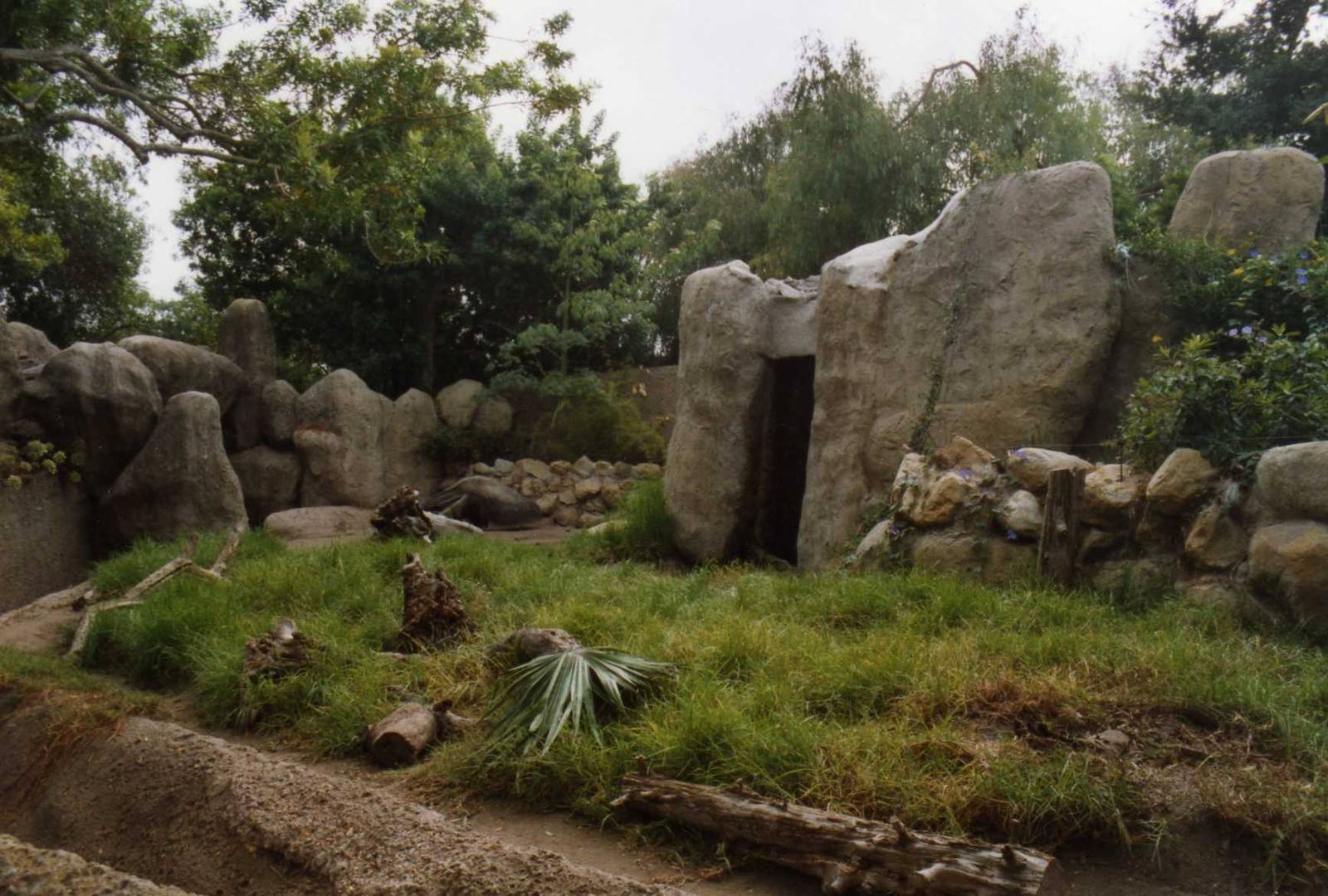 Giant Anteater Exhibit