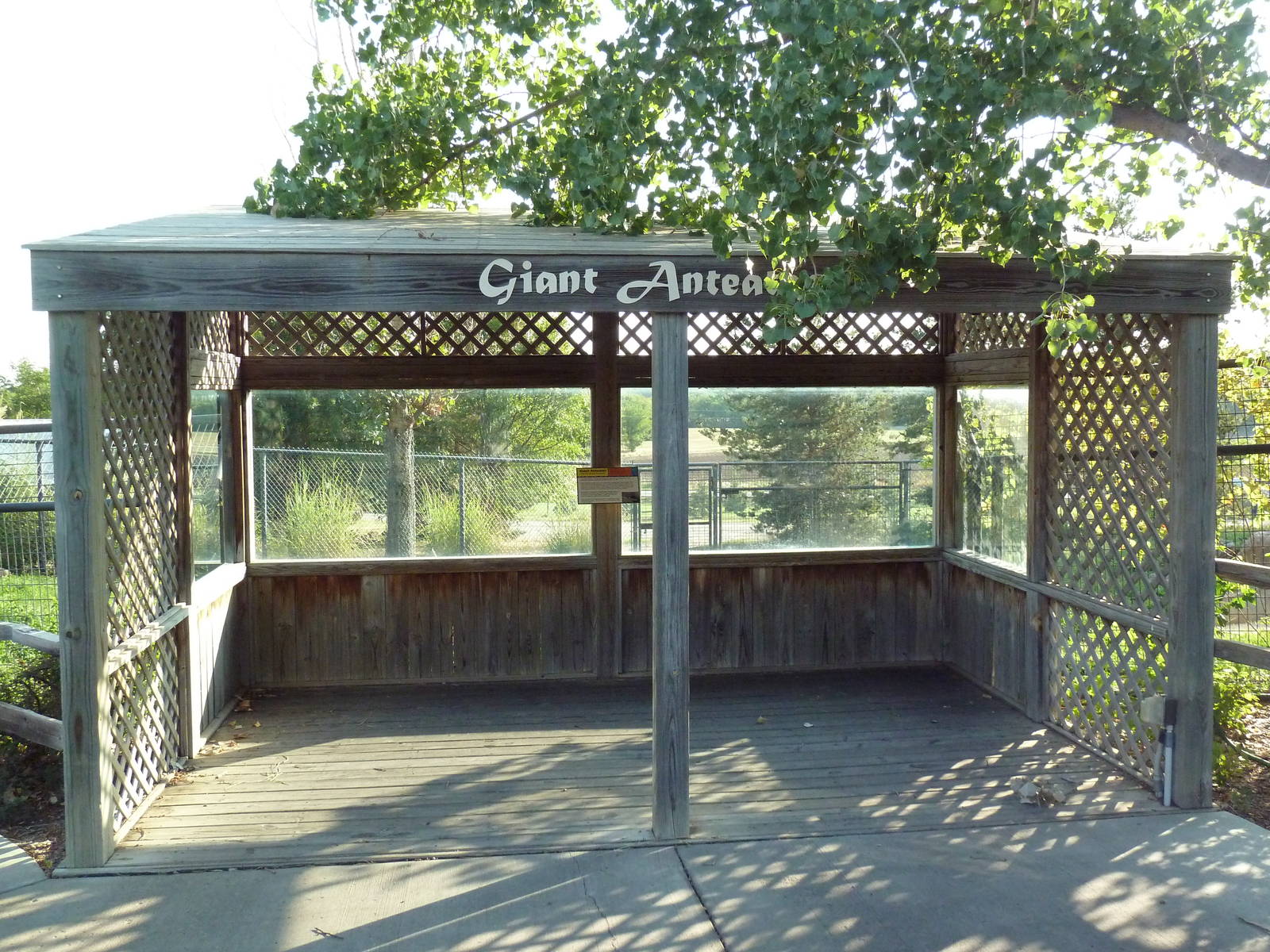 Giant Anteater Exhibit