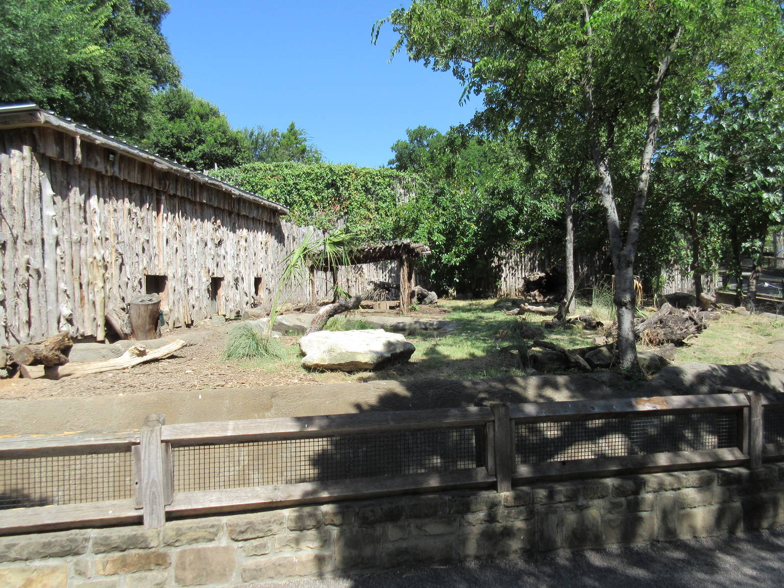 Giant Anteater Exhibit