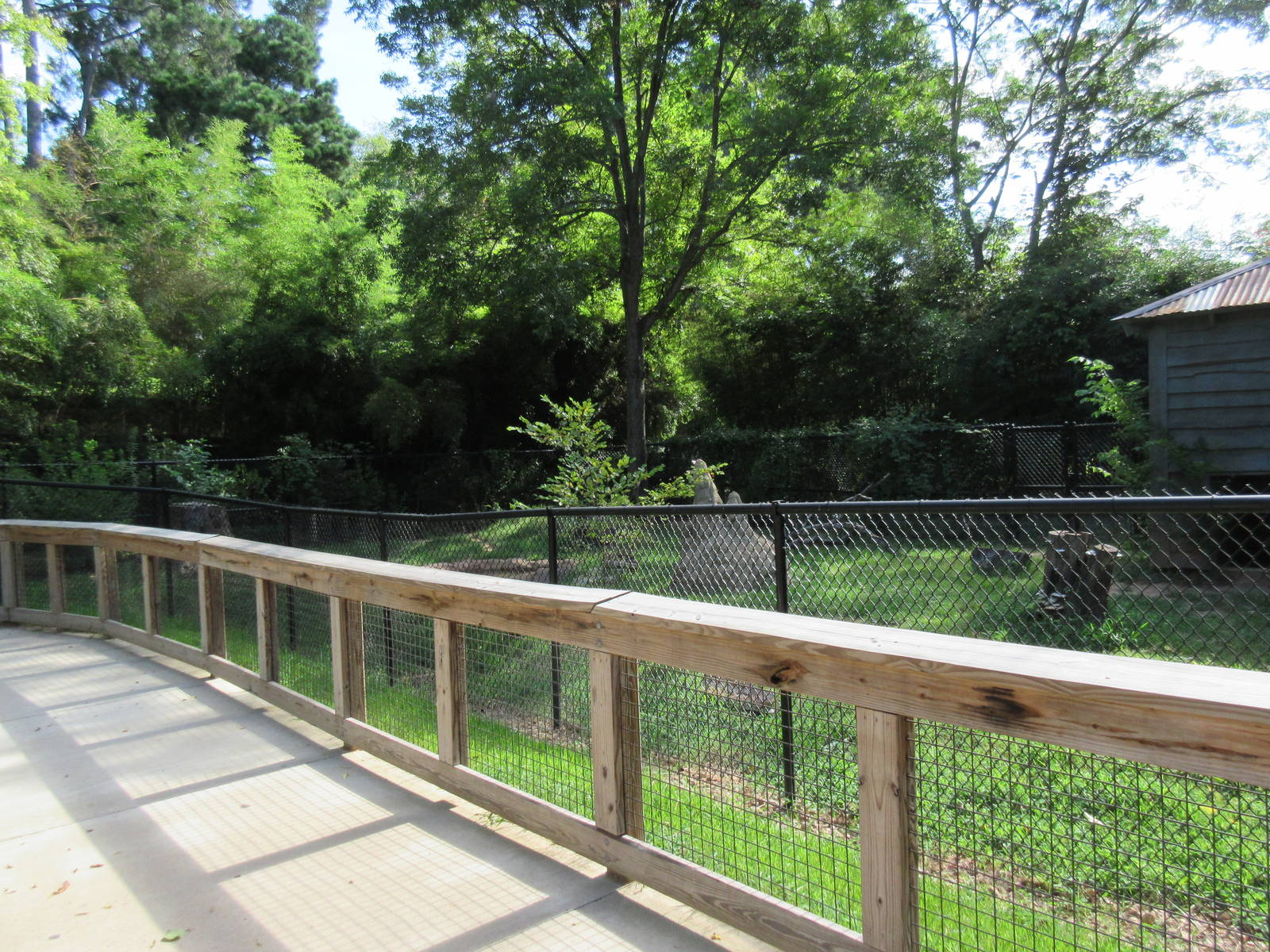Giant Anteater Exhibit