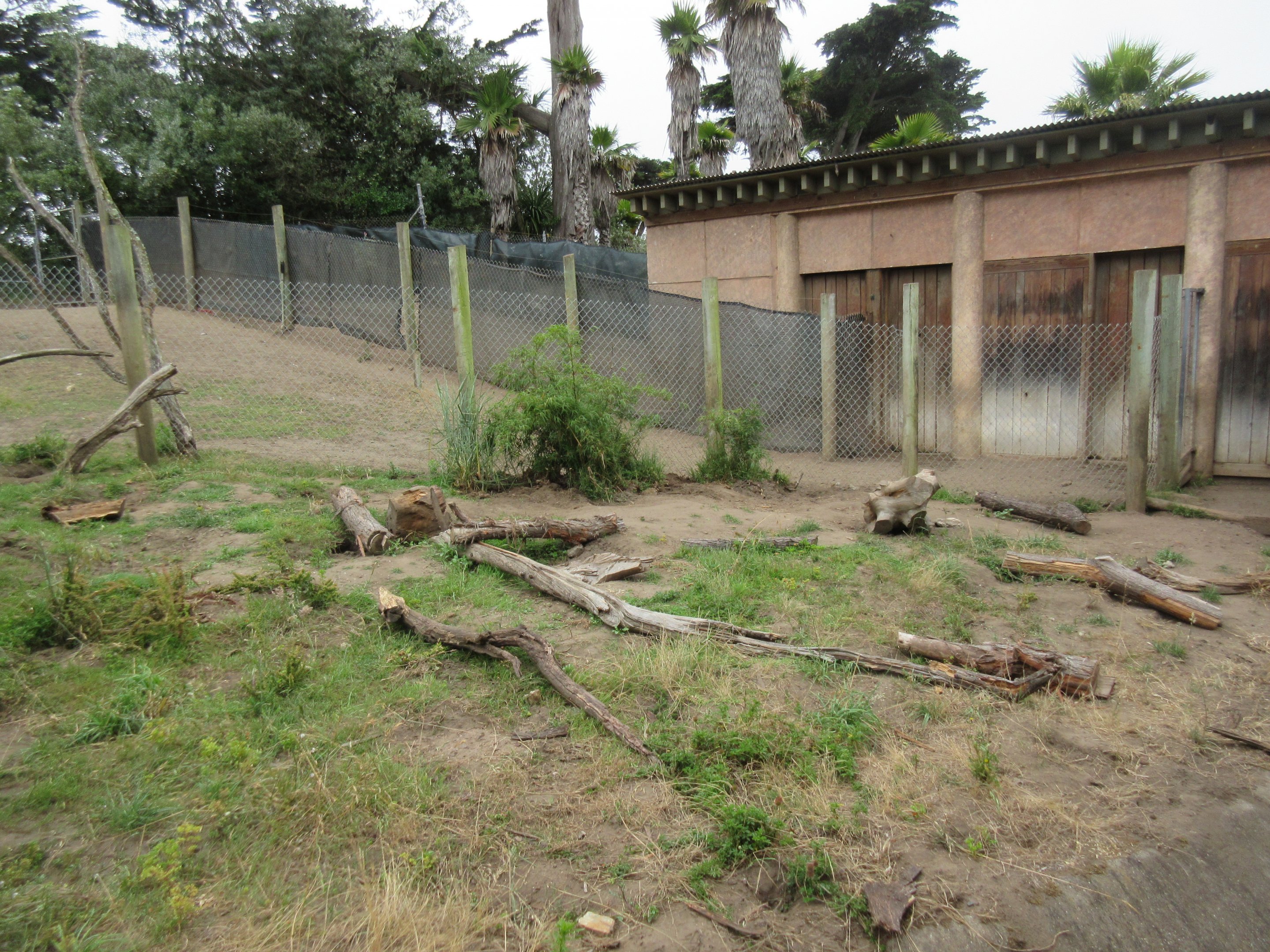 Giant Anteater Exhibit