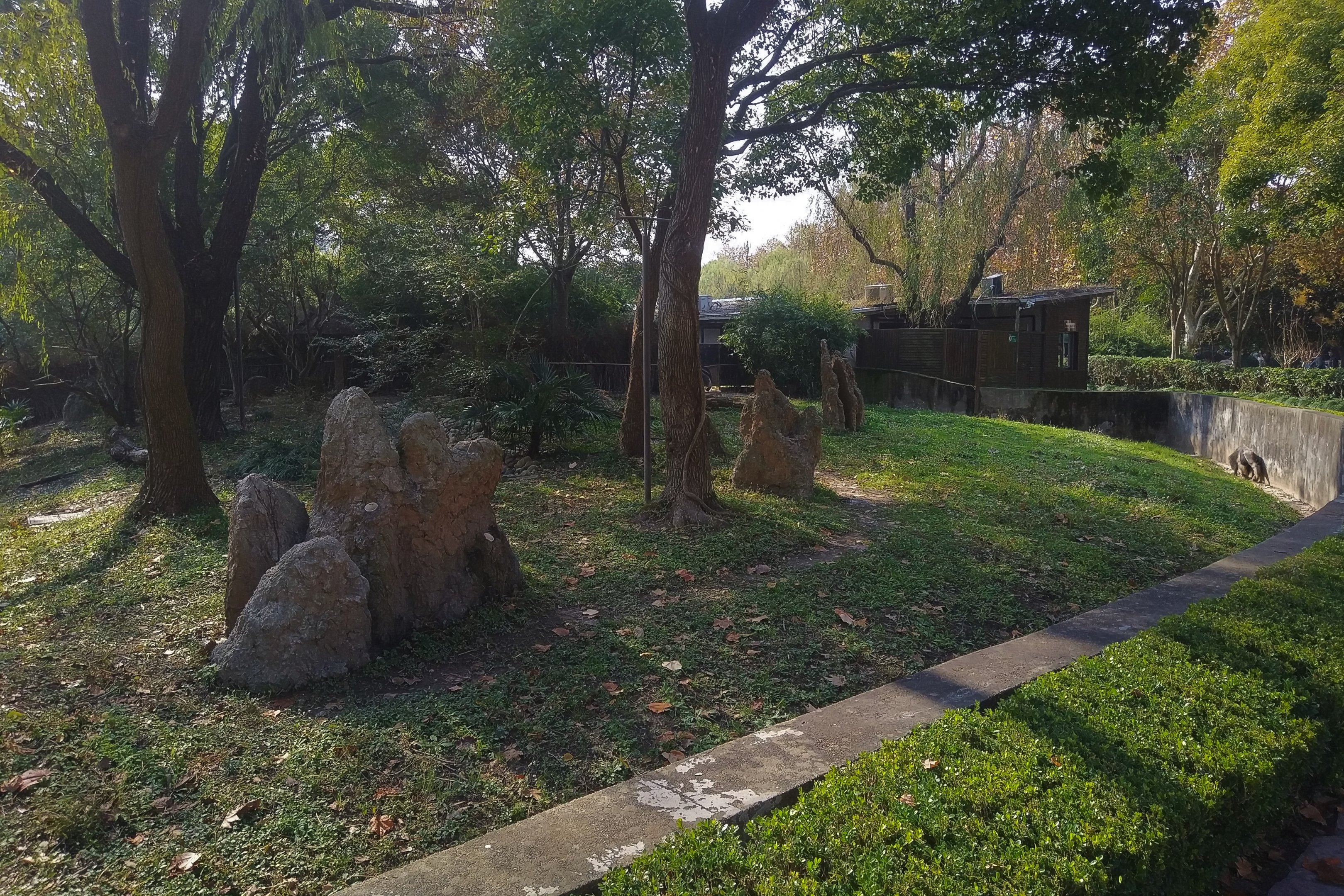 Giant Anteater Exhibit